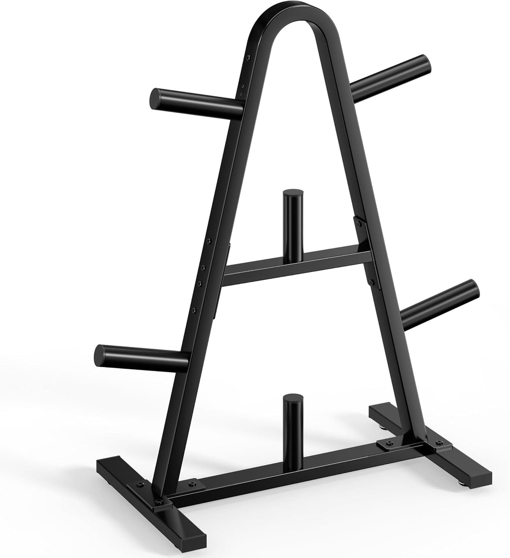 Compact Home Gym Weight Plate Storage Rack