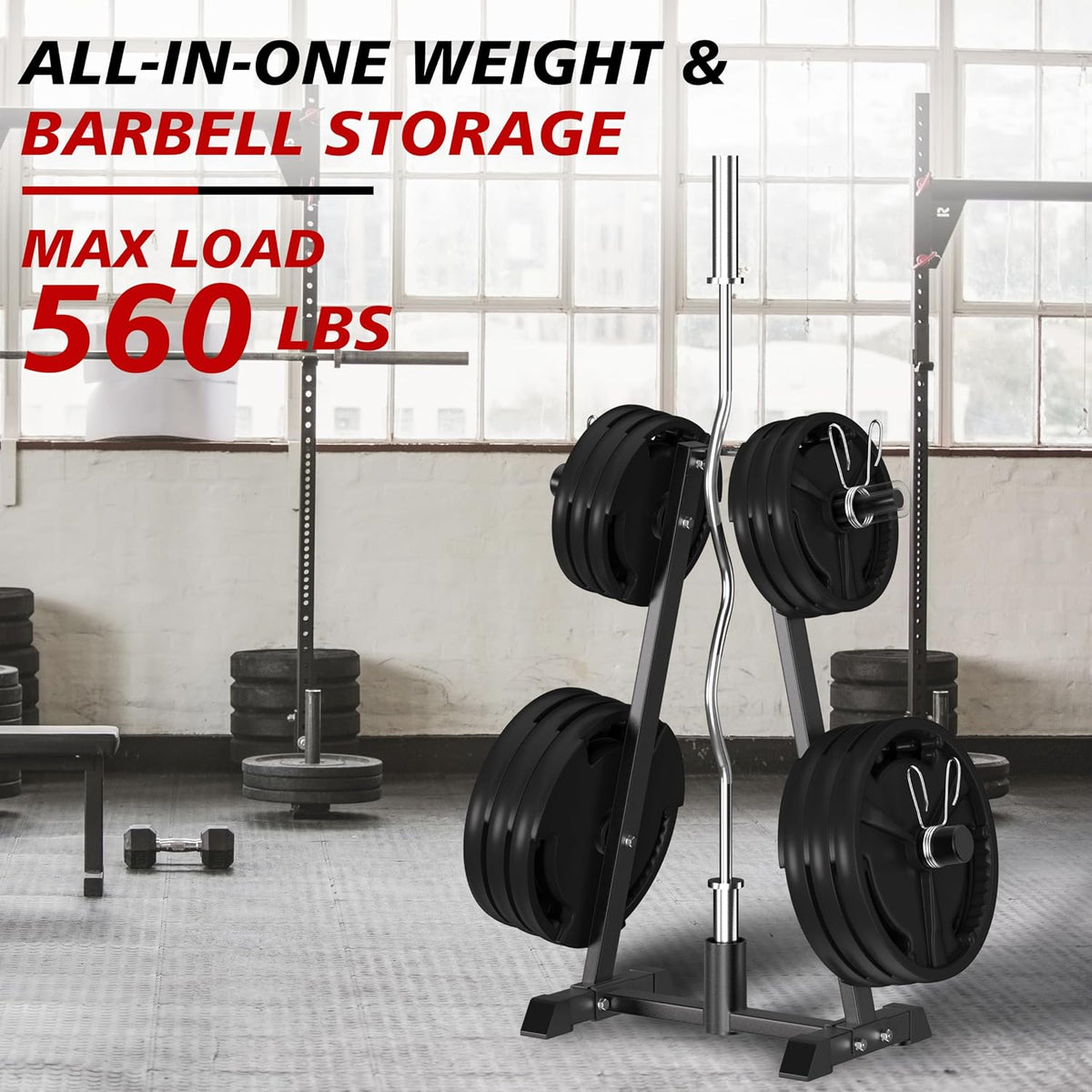 Steel Vertical Dual Size Plate Storage Rack